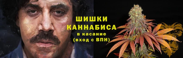 дживик Аркадак