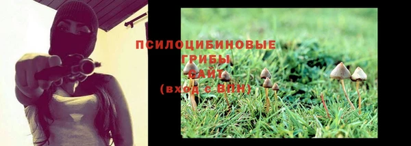 шишки Алексин