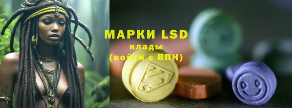 дживик Аркадак