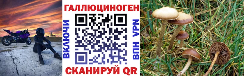 магазин продажи Темрюк Галлюциногенные грибы мицелий