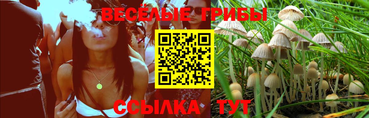 Галлюциногенные грибы мухоморы  Вход с VPN  как найти закладки  Темрюк 